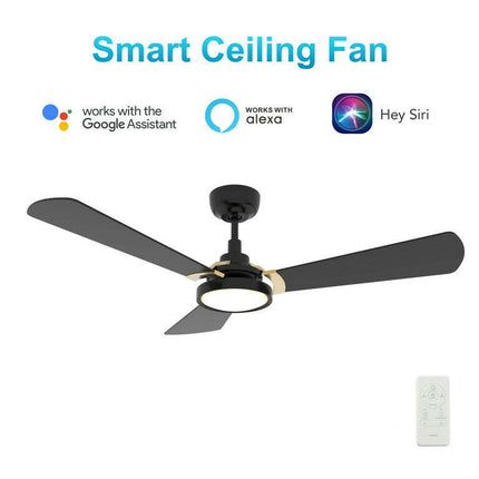 52" Indoor Ceiling Fan with Remote and Light, 10 Speeds DC Smart Fan