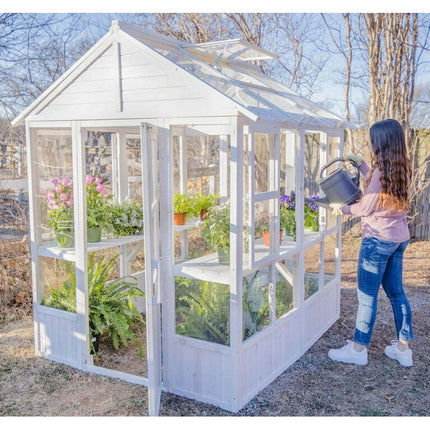 Zylina Superior Wood Green House with Window and Roof Panels, 84in x 72in x 72in