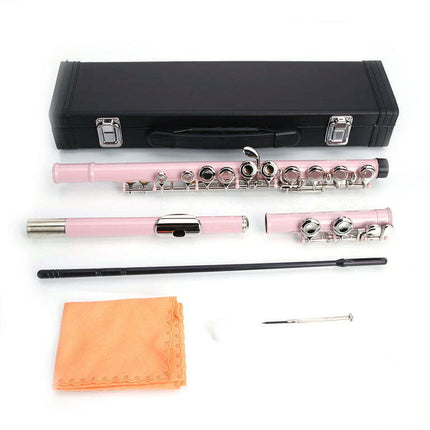 Zimtown 16 Hole C Flute for Beginner, School Band, Pink