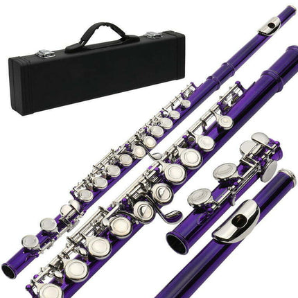 Zimtown 16 Hole C Flute for Student Beginner School Band with Case