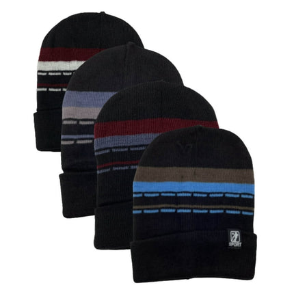 4 Pack Men's Thermal Fleece Lined Winter Insulated Cuff Beanie Hat (Style 2)