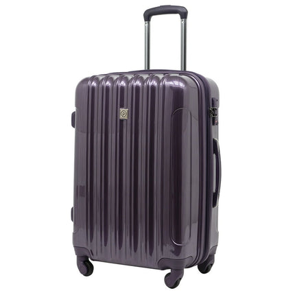 Protégé 20" Briarleigh Rolling Spinner Upright Carry-on Luggage - Purple