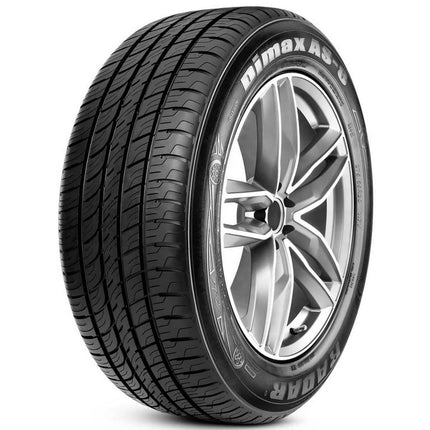 RADAR DIMAX AS-8 235/55R19 105v