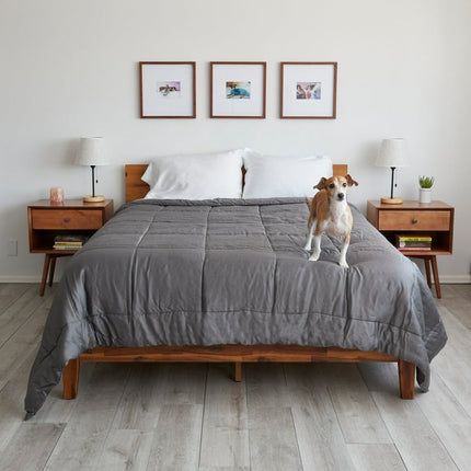 Sheets & Giggles Eucalyptus Lyocell Comforter - Queen, Gray