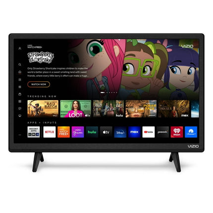 VIZIO 24" Class D-Series HD LED Smart TV D24h-J09