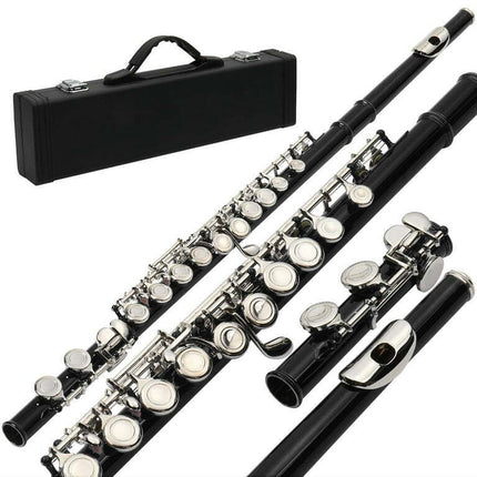 Ktaxon Student 16 Hole C Flute Kit with Case and More Accessories Black