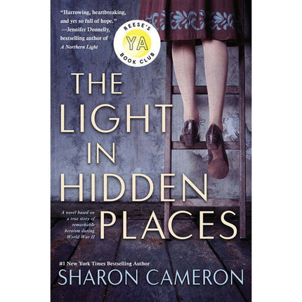 The Light in Hidden Places (Paperback)