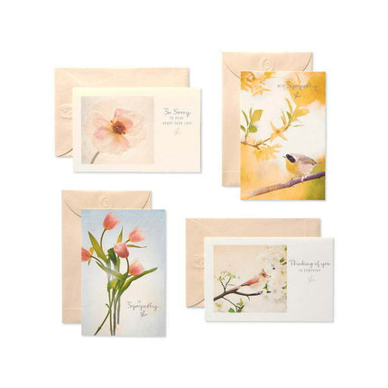 American Greetings Sympathy Cards Assortment with Envelopes, Floral (12-Count)