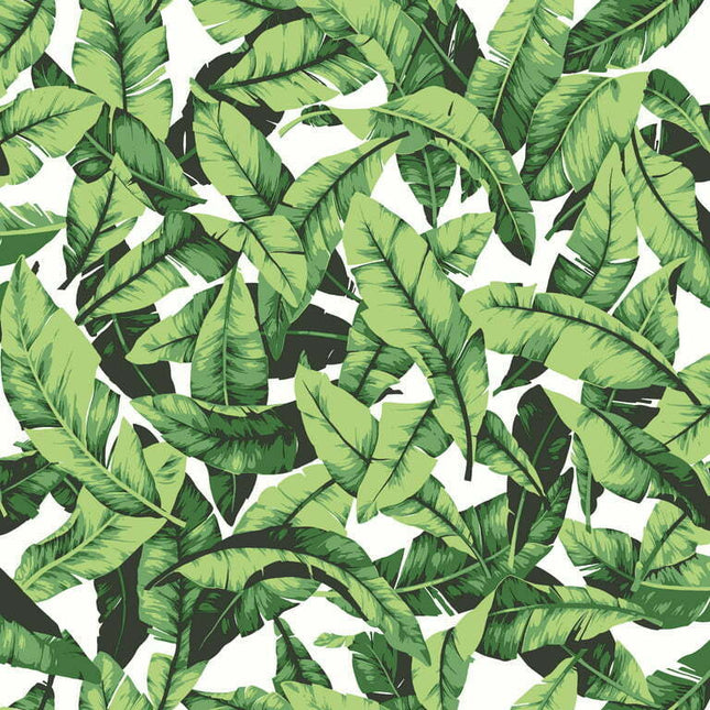 RoomMates Green Palm Leaf Peel and Stick Wallpaper