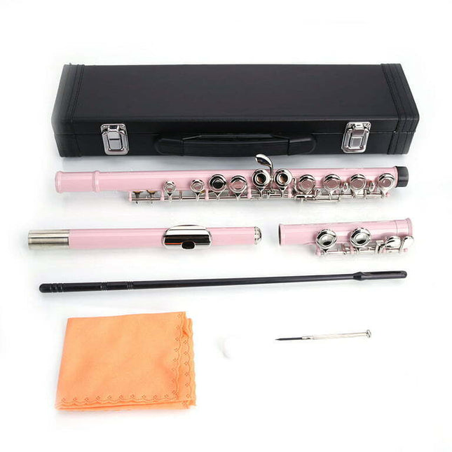 Zimtown 16 Hole C Flute for Beginner, School Band, Pink