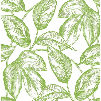 NextWall Greenery Sketched Leaves Peel and Stick Wallpaper