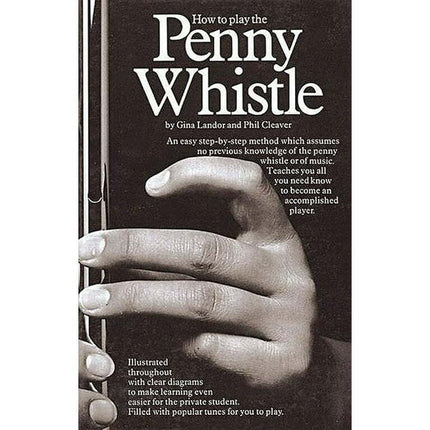 Penny & Tin Whistle: How to Play the Penny Whistle (Paperback)