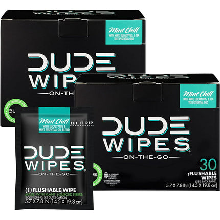 (2 Pack)DUDE Wipes On-The-Go Flushable Wet Wipes, 30 Wipes - Mint Chill Extra-Large Individually Wrapped Wipes with Eucalyptus & Tea Tree Oil - Septic and Sewer Safe(Total 60ct)