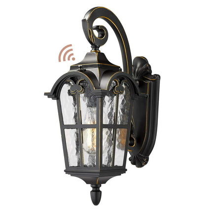 17.5" Black Dusk to Dawn Sensor Outdoor Lighting Farmhouse Outdoor Porch Lights for House Black Finish with Water Glass Shade