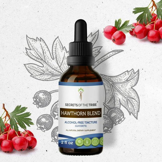 Hawthorn Blend Tincture Alcohol-FREE Extract, Organic Hawthorn Crataegus Laevigata Cardiovascular System Health 2 oz
