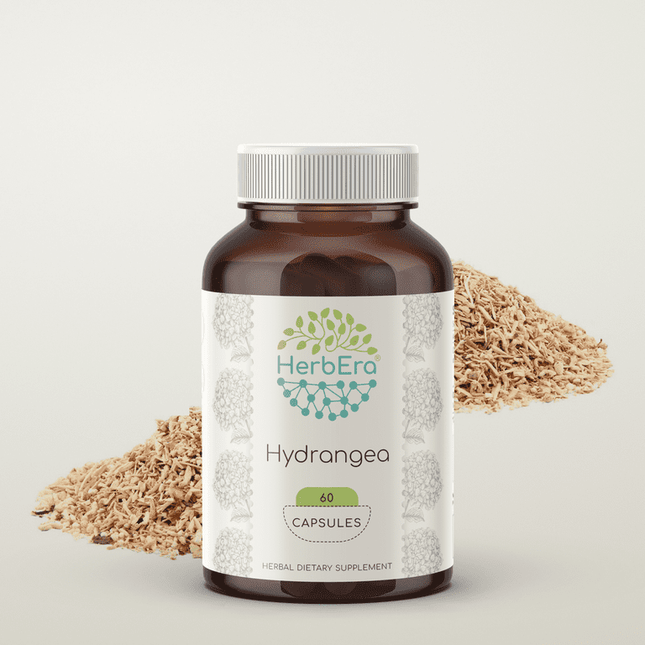 Hydrangea 60 Capsules, 500 mg, Organic Hydrangea (Hydrangea arborescens) Dried Root