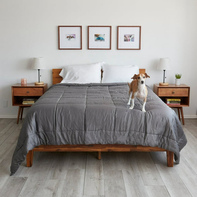 Sheets & Giggles Eucalyptus Lyocell Comforter - Queen, Gray